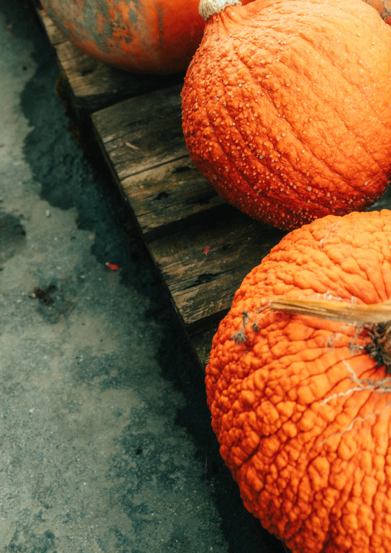 La Petite Collection d&rsquo;Automne